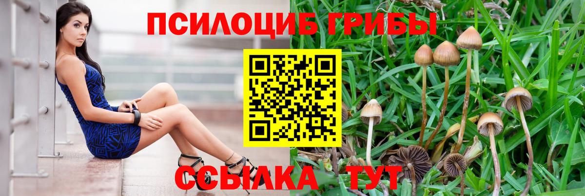  КОКАИН Димитровград